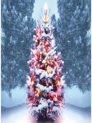 cover image of X-Mas Belief & Origin